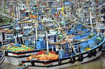 Malpe : Traditional fishermen  venture into fishing in Kaup 